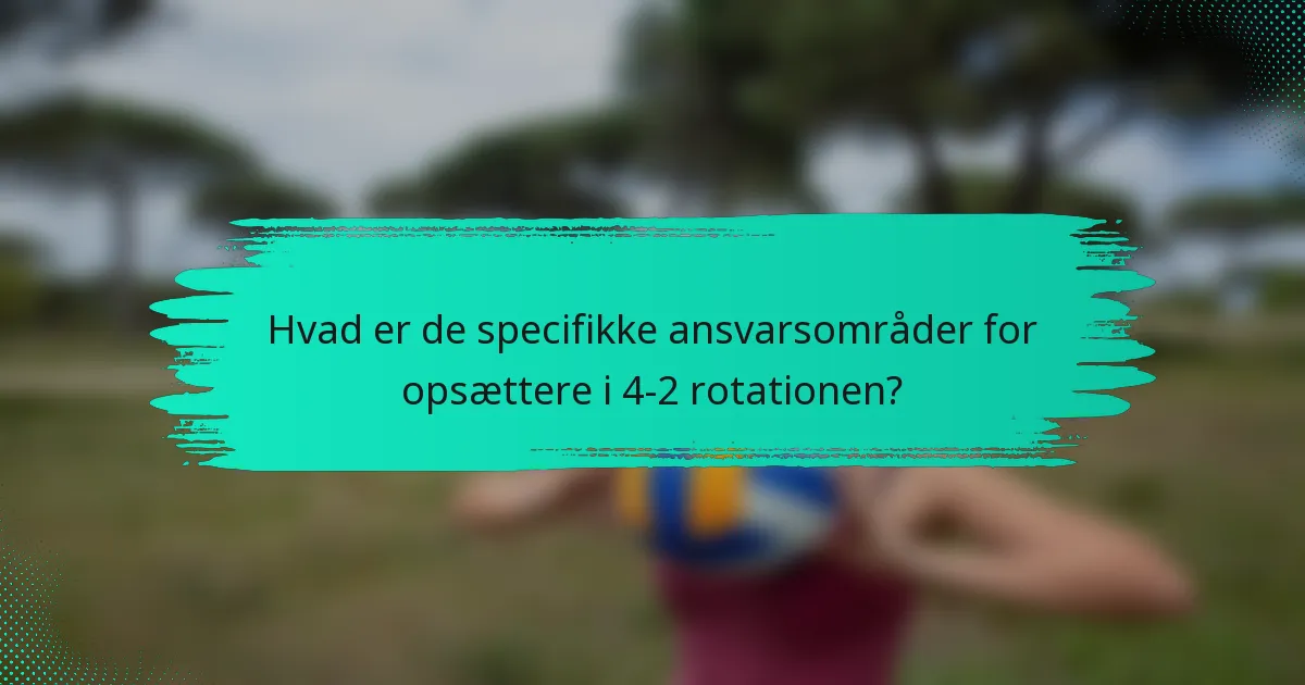 Hvad er de specifikke ansvarsområder for opsættere i 4-2 rotationen?